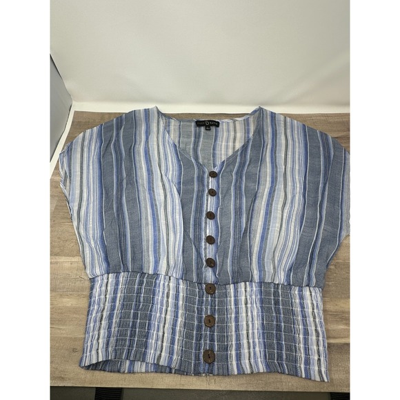 FRED DAVID Women's Short Sleeve Button up blouse - Blue/Gray Stripe Size Large‎ - Picture 1 of 10